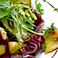 Bunter Blattsalat